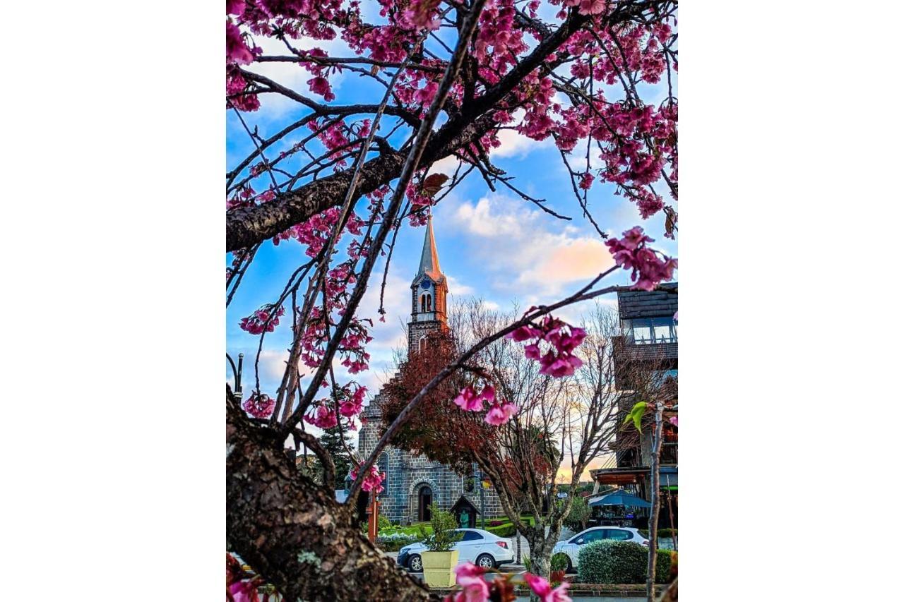 Com Vista Para Catedral - @Stayhousetemporada Канела Екстериор снимка